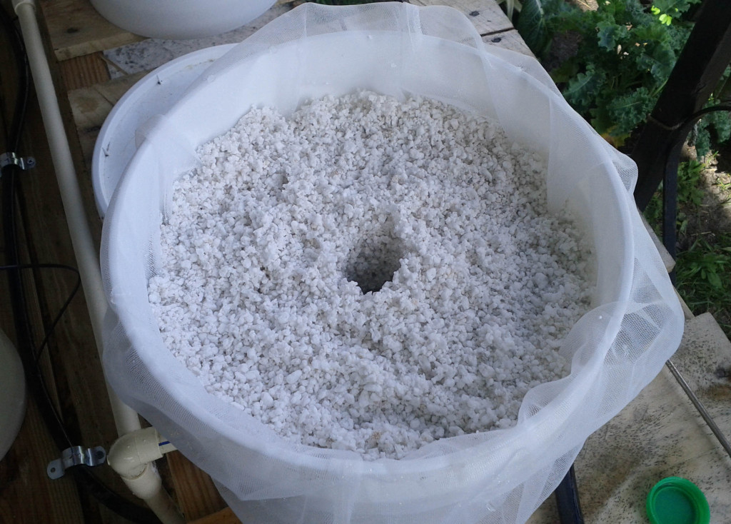 ready to plant with perlite and holes