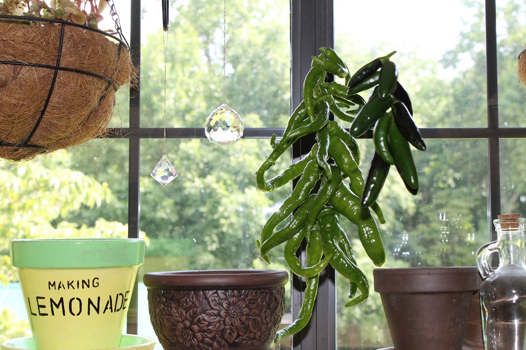 ...and the peppers were hung by the window with care... For a great article on easy steps to do this: 