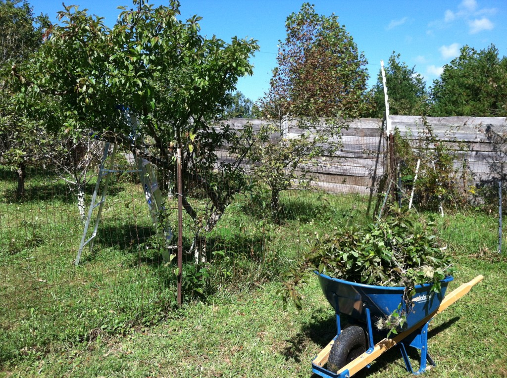 Full wheelbarrow