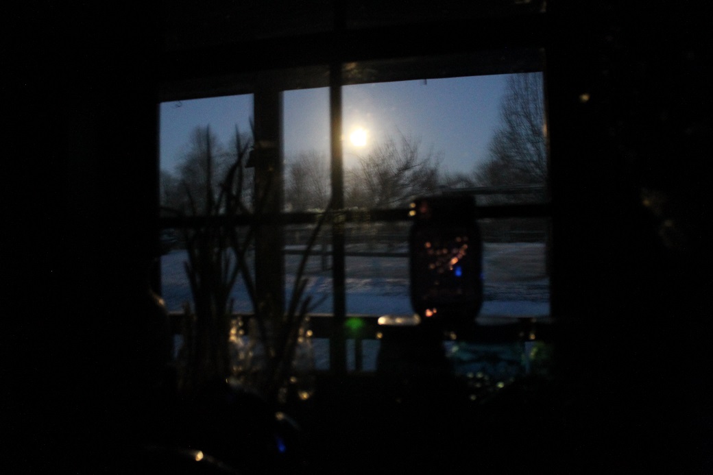 By the bright light of the March 5th full moon, my scallions are regrowing in the kitchen window.