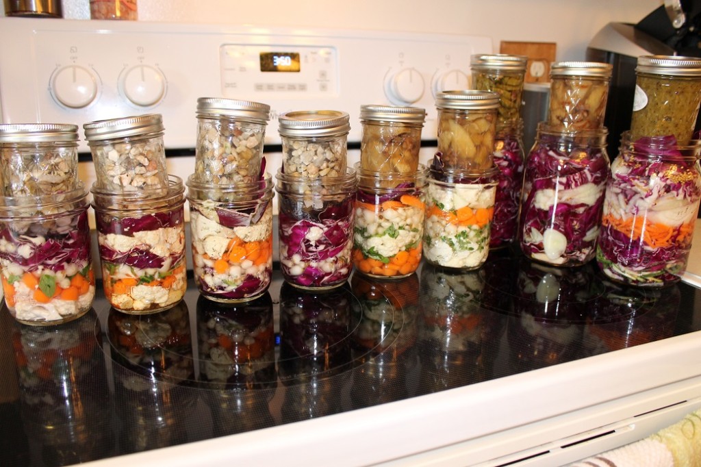 fermented food experiments