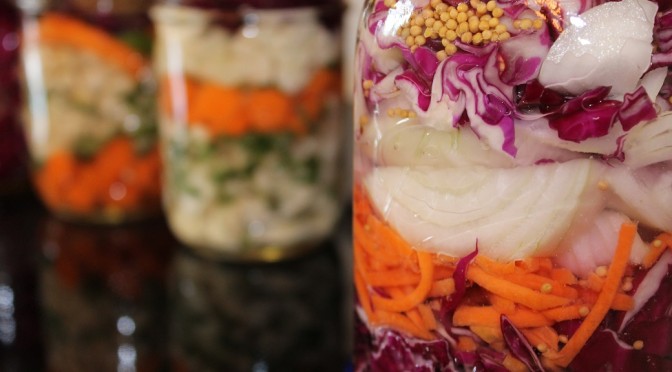 The Great Fermenting Experiment