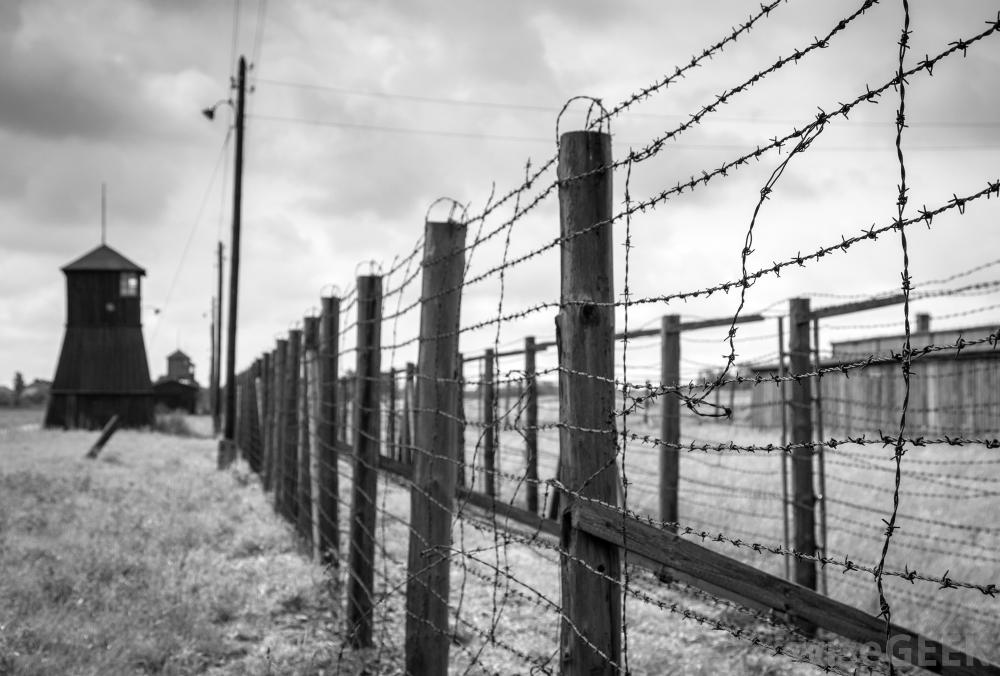 Wire Fence - Clean